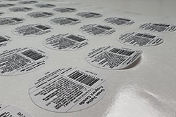 首页-公海gh555000aa线路检测中心(官方平台)